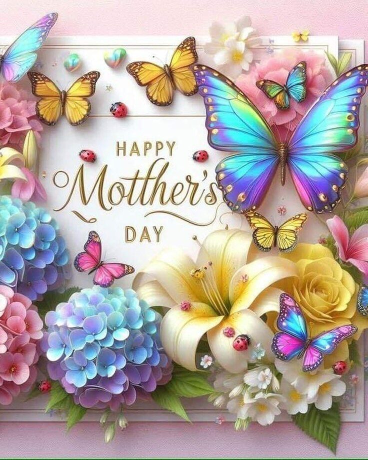 Instagram post from hailliesumneyofficial. This post is in position 4.